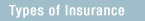 Other Health Insurance Services